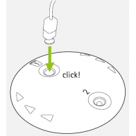 Protection anti-cérumen Phonak CeruShield™ Disk